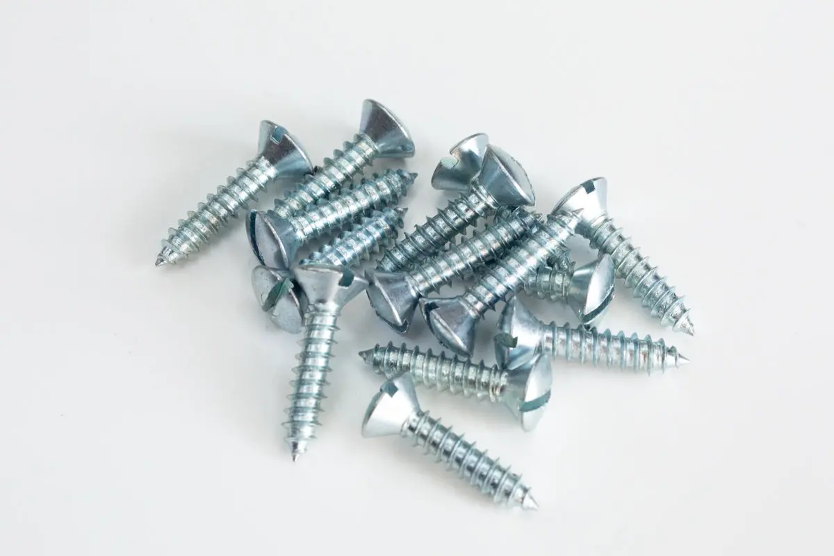 丸皿頭マイナスタッピングスクリュー 4.8  X 22Mm 1