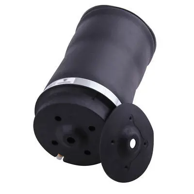Mercedes Benz R320 R350 R500 W251 Rear Air Ride Suspension Shock 2513200425 1