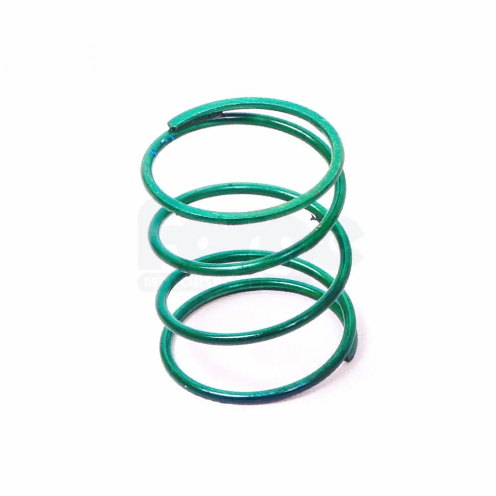 Large Dump Valve Spring (Single) 1