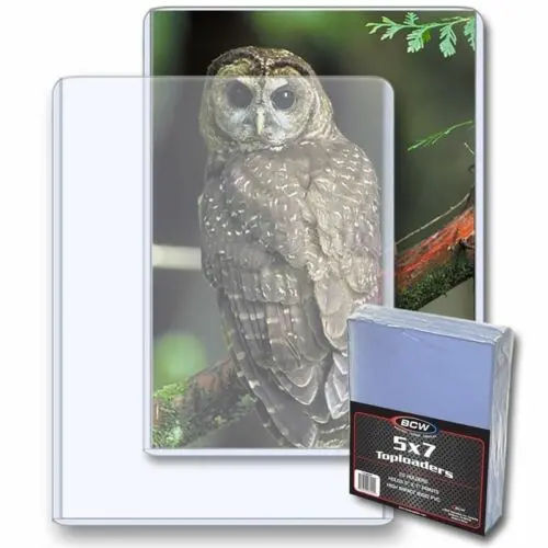 Bcw 5X7 - Topload Holder 1