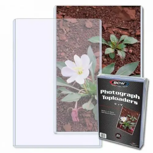 Bcw 6X9 - Topload Holder 1