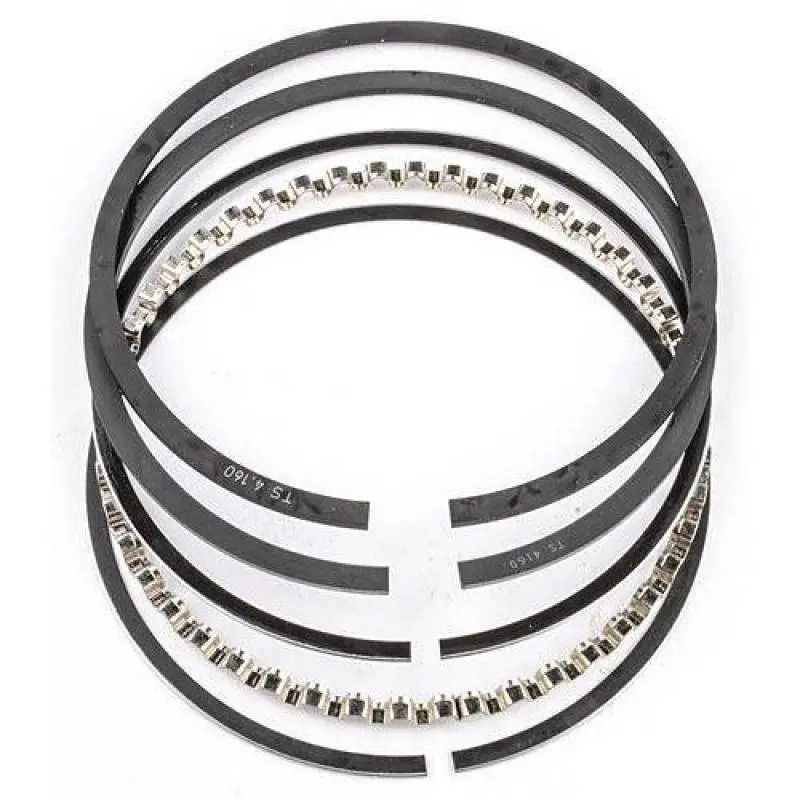 Mahle Plain Ring Set With Expander – Assembly Part 303-0186, 48-Piece Bulk Pack 1