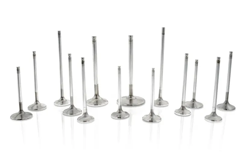 Ferrea S-Flo+ Oversized Intake Valves For Ford 4.6L/5.4L 24V Engines – 1.372" X 4.617", 19° Included Angle (Set Of 16) 1
