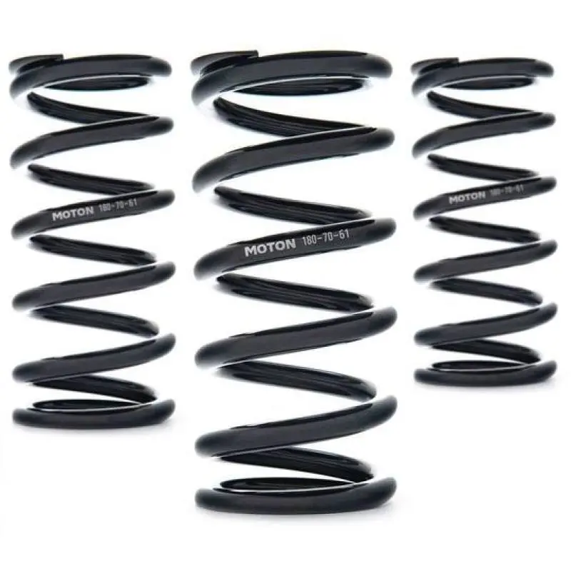 Ast Linear Race Springs - 140Mm Length X 220 N/Mm Rate X 61Mm Id - Set Of 2 1
