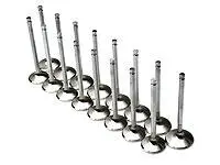 Brian Crower 33Mm Intake Valves For Honda/Acura B16A/B17A/B18C Engines 1